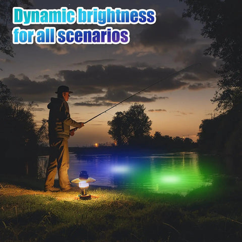 Night fishing with 2 Pack Underwater Fishing Light Kit 12V 15W Submersible LED Lure Lamp and green blue glow in water