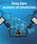Underwater Camera Rig With Dual Handheld Stabilizer And Video Light for GoPro Hero near snorkeling diver and whale shark.