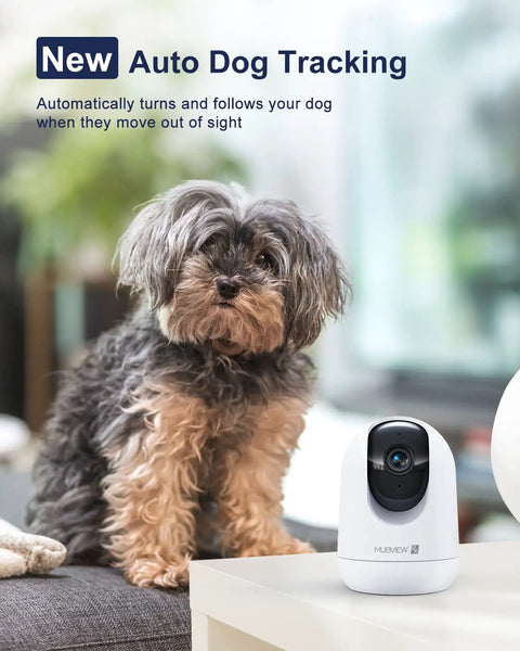 2K Indoor Security Camera With 2.4 And 5GHz WiFi Night Vision And 24 Seven Recording next to a dog, showcasing auto tracking feature