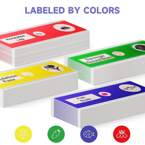 48 Piece Prepared Microscope Slides Set for Stereo Microscope, Plant Insect and Animal Tissue Specimens, Ideal Education Tool for Classrooms and Home Science Labs color-labeled slide boxes