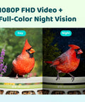 Smart Bird Feeder With Camera For Outdoors All Metal Durability Solar Powered Auto Identify And Record Video Instant Alerts Live Bird Watching, day and night view of cardinal bird perched on feeder
