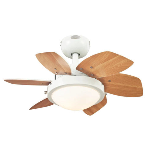 Quince 24-Inch Indoor Ceiling Fan With Dimmable LED Light Fixture, Six Reversible Beech Blades, White Finish, Opal Frosted Glass