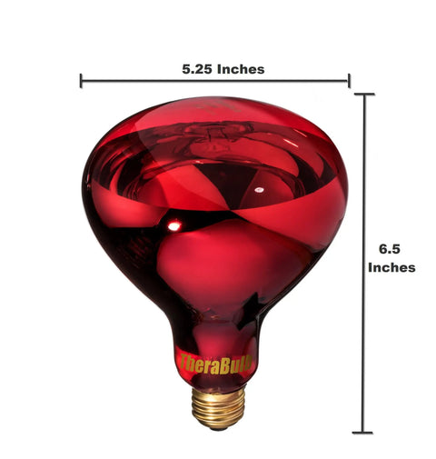Near Infrared Red Light Therapy Bulb 250W 120V NIR A For Home Wellness E26 Base RoHS CE Certified Fits Standard US Socket