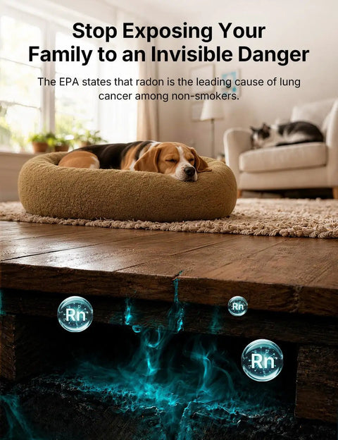 Smart WiFi Radon Detector For Home With Instant App Alerts And Continuous Daily Trend Tracking To Keep Indoor Air Crisp And Your Place Hella Safe All Year Long with dog lounging.