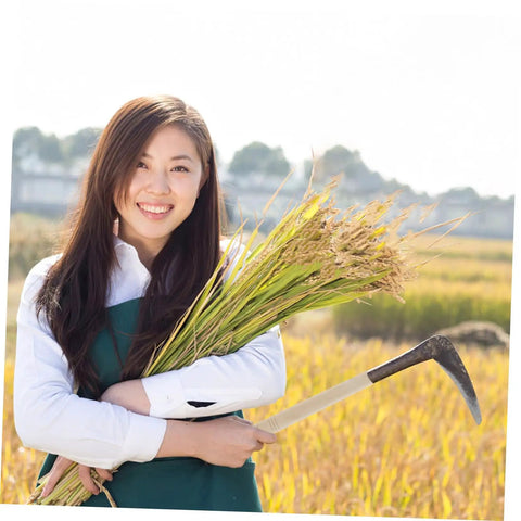 Woman in field holding a sickle with wooden handle grip. Wooden Sickle Handle Grip With Ergonomic Design And Noslip Comfort For Sickle Replacement.