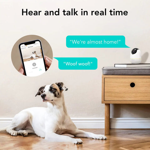 Dog indoors with 1080P HD Indoor Home Security Camera with 2.4GHz WiFi Smart AI Detection, real-time alerts, on a stand nearby.