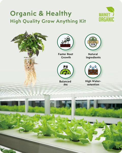 Indoor Hydroponics Grow Kit 180 Pieces With 45 Grow Sponges 45 Grow Baskets 45 Grow Domes 45 Pod Labels And Tweezers info display