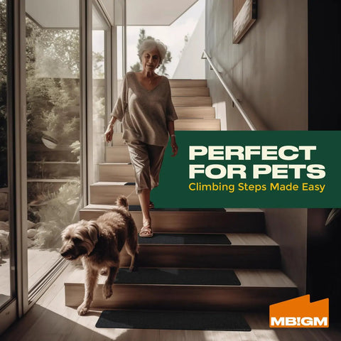Woman and dog on stairs with Non Slip Outdoor Stair Treads 12 Pack With Heavy Duty Grip Tape Strips 6 By 24 Inches Weatherproof Anti Slip Tape.