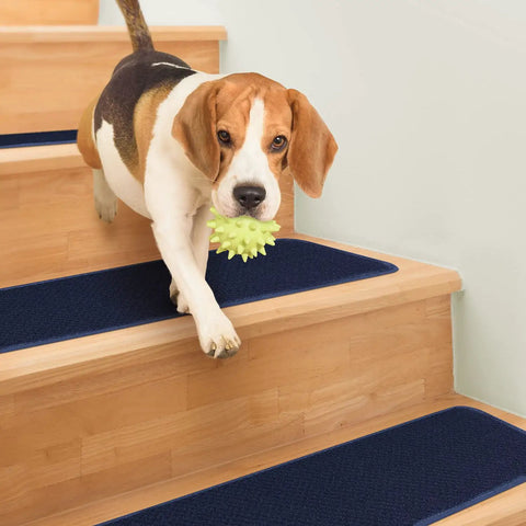 Dog on wooden stairs with Non Slip Carpet Stair Treads Set Of 15 Navy Blue 8x27 Inches Skid Resistant Rubber Backing
