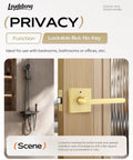 Six Pack Gold Bathroom Door Knob And Privacy Door Lever With Keyless Thumb Turn Lock Brushed Brass Zinc Alloy Interior Door Handle Set for bedroom and bathroom showcasing lockable privacy feature.
