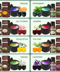 Premium Candle Making Kit With Wax Melter For DIY Scented Candles Includes Glass Jars And Tin Containers Scents And Color Dyes