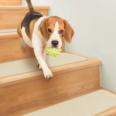 Dog on wood stairs with Skid Resistant Carpet Stair Treads Set Of 15 In Ivory Cream 8 X 27 Inches With No Slip Backing