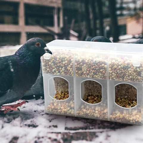 2 Pcs Automatic Hanging Bird Feeder Cups For Small Birds Cage Plastic Quail Parakeet Food Dispenser With Anti-Spill Design Easy Install And Secure Fit For Pet Avian Care Supplies with seed-filled feeder and pigeons.