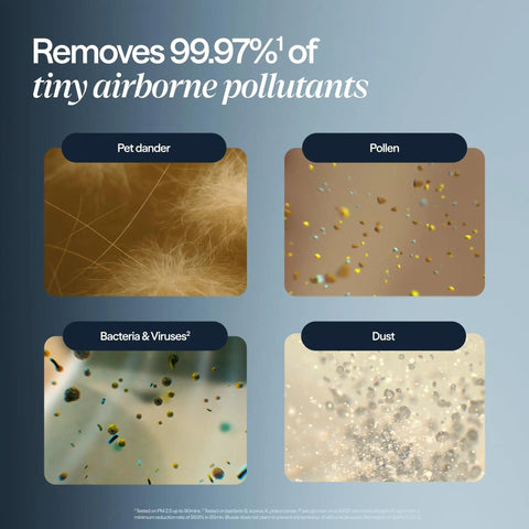 Image showing effectiveness of Smart Air Purifier For Bedrooms And Small Rooms Up To 926 Sq Ft With HEPASilent Filtration against pet dander, pollen, bacteria, and dust.