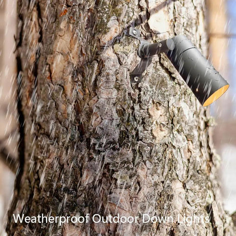 Low Voltage Outdoor Landscape Lighting For Tree Canopies And Soffits, Moonlighting Tree Hanging Down Lights with rain on tree