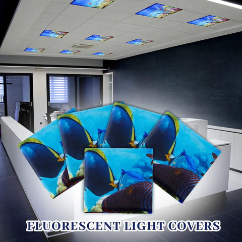 Office with ceiling featuring six magnetized fluorescent light covers for classrooms and offices 4x2 feet ocean color shade.