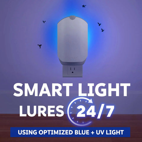 Plug In Bug Zapper For Straight Up Home Pest Control Killer Against Fruit Flies And Those Dang Gnats With UV Light mounted on wall.