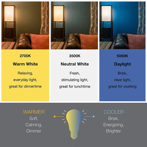 Sylvania ECO LED A19 bulb collage showing 2700K warm white, 3500K neutral white, 5000K daylight; frosted, non-dimmable, 8-pack