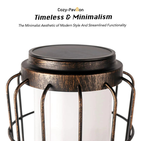 Close-up of a Solar Powered Plant Stand Light 2 Pack Bronze Outdoor Floor Lamp with rustic finish and minimalist design.