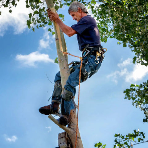 Person using All In One Tree Climbing Gear Set With Adjustable Climbing Straps Steel Core Flip Line on tree