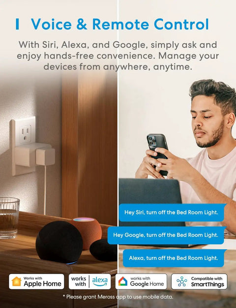 Smart Plug Mini 15A WiFi With HomeKit Siri Alexa Google Assistant Nest Hub Remote Control App Control Timer No Hub Needed