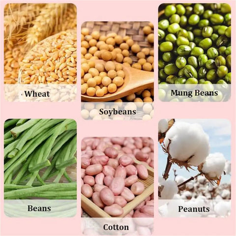 Assorted crops including wheat, soybeans, mung beans, beans, cotton, and peanuts arranged in a grid on a pink background.