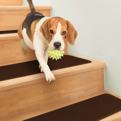Dog walking down wooden stairs with Set Of 15 Skid Resistant Carpet Stair Treads In Chocolate Brown 8 Inch By 27 Inch With Rubber Backing For Non Slip Safe Steps And Easy Install On Most Stairs