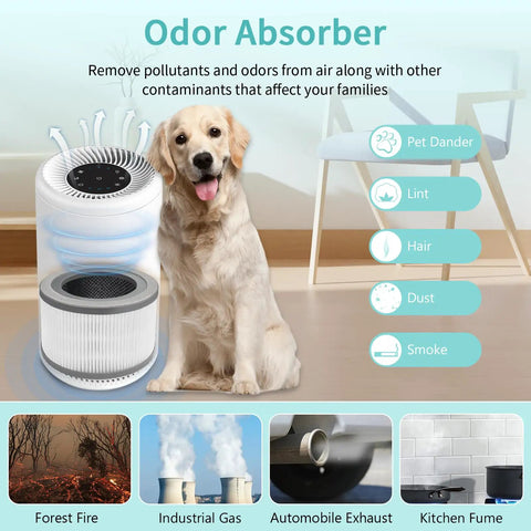 Dog sitting beside Vista 200 RF Replacement Filter Pack For Air Purifier With 3 In 1 Filtration Activated Carbon