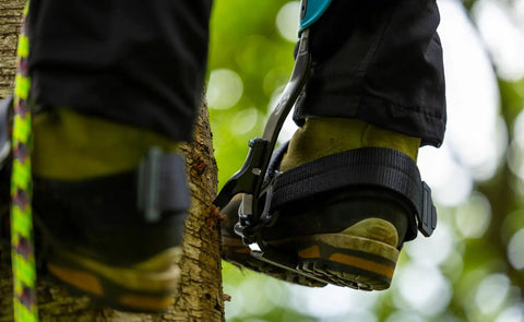 Climber wearing Steel Tree Climber Gaffs With Ergonomic Shank And 20 Plus Cuff Adjustment Points in use on tree trunk