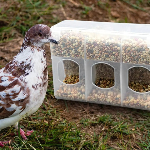 2 Pcs Automatic Hanging Bird Feeder Cups For Small Birds Cage Plastic Quail Parakeet Food Dispenser With Anti-Spill Design Easy Install And Secure Fit For Pet Avian Care Supplies with a bird nearby.