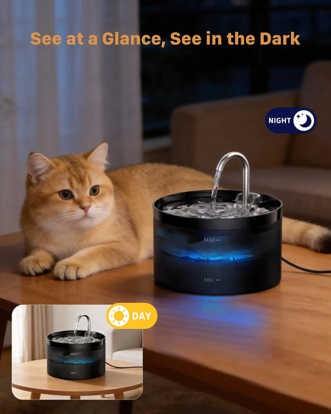 Cat near 2L Pet Water Fountain For Cats And Dogs, Automatic Dispenser With Quiet Operation, glowing night light