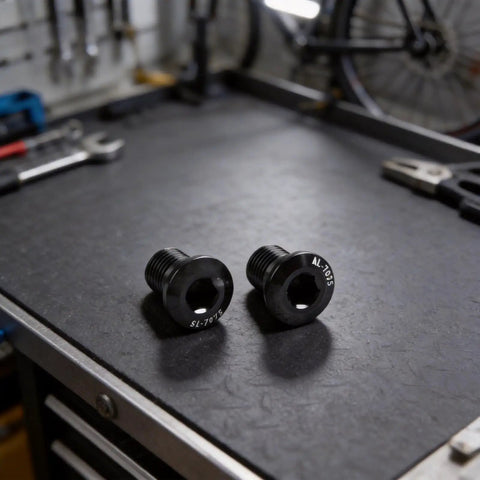 M10x1.0 Rear Derailleur Hanger Bolts 8.5mm Thread, 2 Piece Bike Mounting Screws on workbench