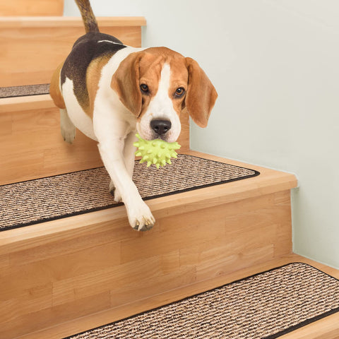 Dog safely descending stairs with Skid-Resistant Carpet Stair Treads Set Of 15 In Black Ripple 8 By 27 Inches Non-Slip Rubber Backing.