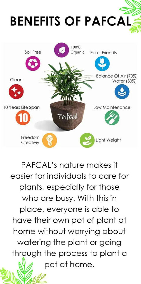 Benefits of Pafcal organic plant sponge chips for indoor and outdoor use, soil replacement, garden decor, nursery pot landscaping, 0.5kg.