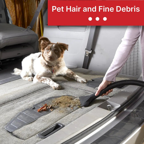 Person using vacuum on car interior alongside dog to demonstrate High Efficiency Disposable Vacuum Filter Bags For 5 To 9 Gallon Tanks Heavy Duty Filtration For Drywall Dust Cement Dust And Cold Ash Easy Install Pack Of 2.