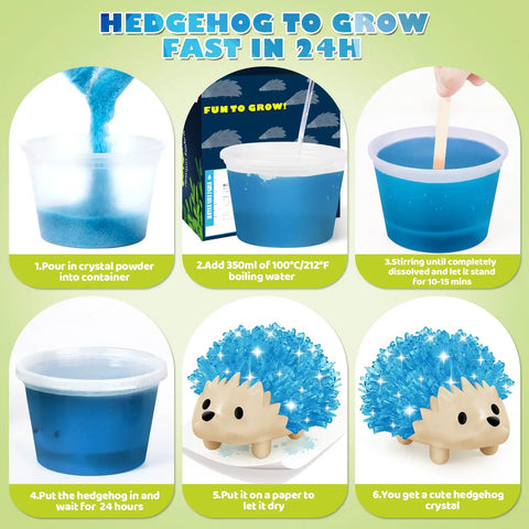 Crystal Growing Kit For Kids, Two Color Hedgehog Crystals Grow In 24 Hours, step-by-step crystal growing process