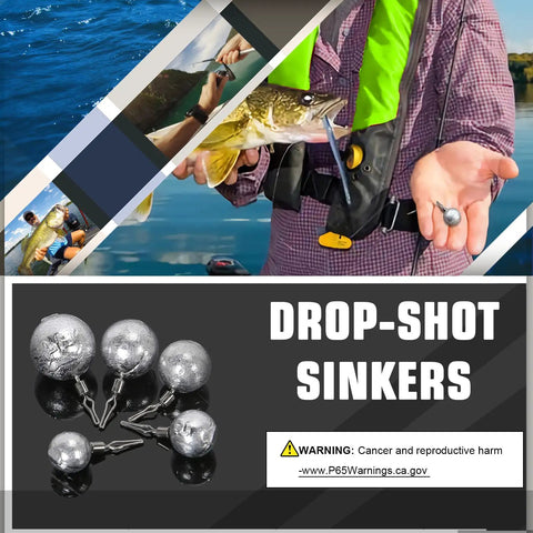 Casting Bass Sinker Weights Set, Round Lead Removable Weights for Freshwater Fishing, Drop Shot Ready, shown with fish and rod