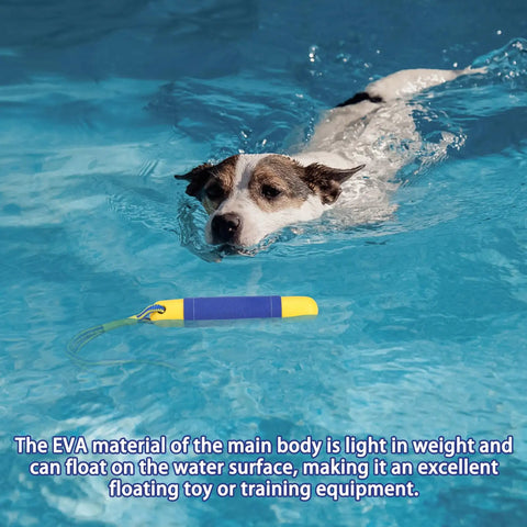 Two Pack Dog Pool Toys Float On Water, Interactive Fetch Toy For Training And Retrieval, Durable Bumper Style Water Toy For All Breeds