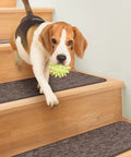 Dog on stairs with Skid Resistant Carpet Stair Treads Set Of 15 Pebble Gray 8 Inch By 27 Inch Non Slip Backing For Safer Stairs