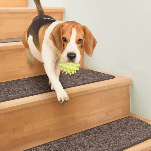 Dog on stairs with Skid Resistant Carpet Stair Treads Set Of 15 Pebble Gray 8 Inch By 27 Inch Non Slip Backing For Safer Stairs