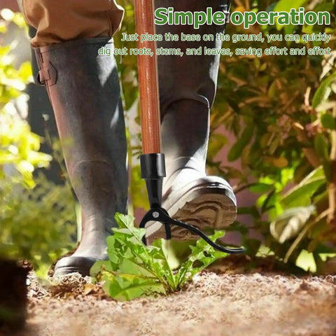 Gardener using Stand Up Weed Puller Replacement Head With 4 Claw Steel for yard and garden, no handle needed, uprooting weeds.