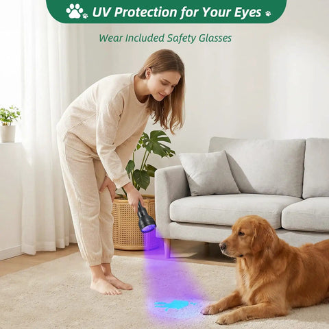 Using Ultimate UV Black Light Flashlight With 51 LEDs And 395 Nm Ultraviolet Beam For Pet Stains detection on carpet