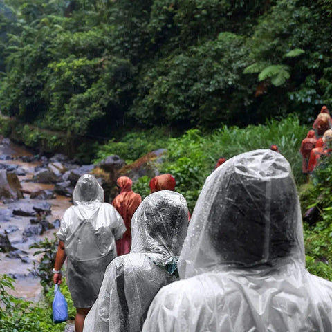 Group wearing Your Go To Disposable Rain Ponchos With Drawstring Hood For Adults, Emergency Family Pack, hiking near river