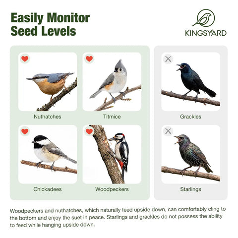 Illustration of birds preferred by the Double Upside Down Suet Feeder With Weatherproof Roof All Metal Outdoor Hanging Bird Feeder.