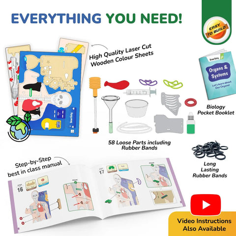 Totally Hands On Anatomy Kit For Kids Aged Eight To Fourteen Buildable Human Body Model parts and instruction booklet