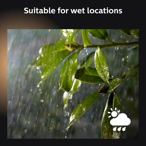 Leaves in rain illustrating weatherproof feature of Outdoor Smart LED Spotlight For Color Ambiance, Low Voltage Landscape Lighting
