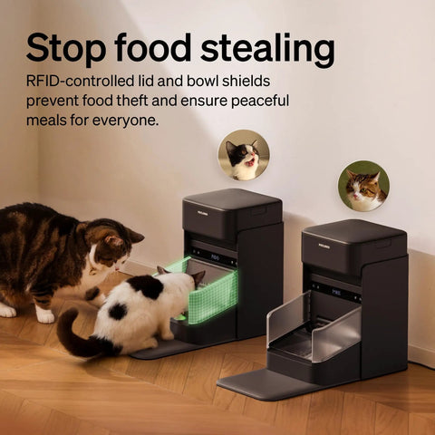 Cats eating from RFID Cat Feeder With Collar Tag Sensor For Personalized Meals, Cat Recognition, Diet Tracking And Anti Theft In Multi Pet Homes.