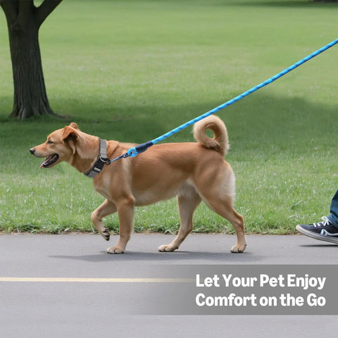 Built Tough Heavy Duty Round Dog Leash Featuring A Comfy Cushioned Grip Handle And Durable Recycled Polyester Rope Perfect For Daily Strolls And Pup Training Adventures In Blue Six Feet with dog walking on a path.