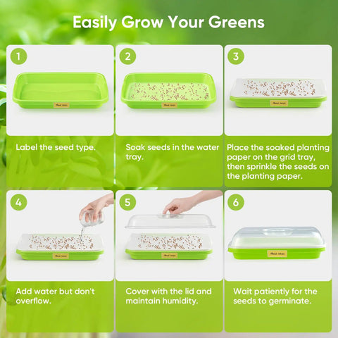 Step-by-step guide for using 12 Pack Green Seed Sprouter Trays With Lid For Soil Free Germination Indoors Outdoors No Fuss Fodder Sprouting