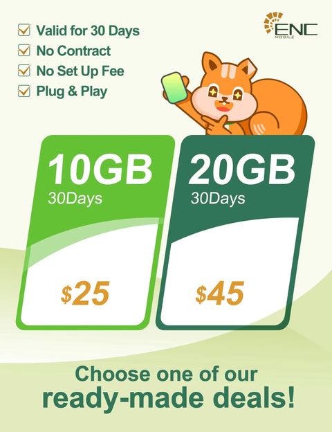 Price comparison for 10GB and 20GB data plans, highlighting Go To Global Travel Data SIM Card With 20GB High Speed 5G and 4G LTE 30 Day Data Plan Unlimited Data At Reduced Speed 3 In 1 Prepaid Travel SIM For US Europe New Zealand And 44 Global Destinations